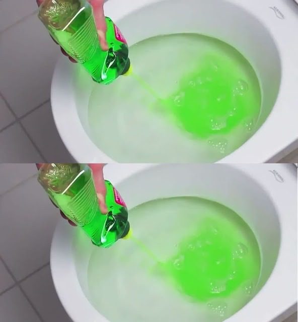 Dish soap in the toilet, a life-changing move