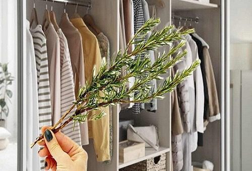 One sprig of rosemary in the cupboard, they even do it in the laundry room