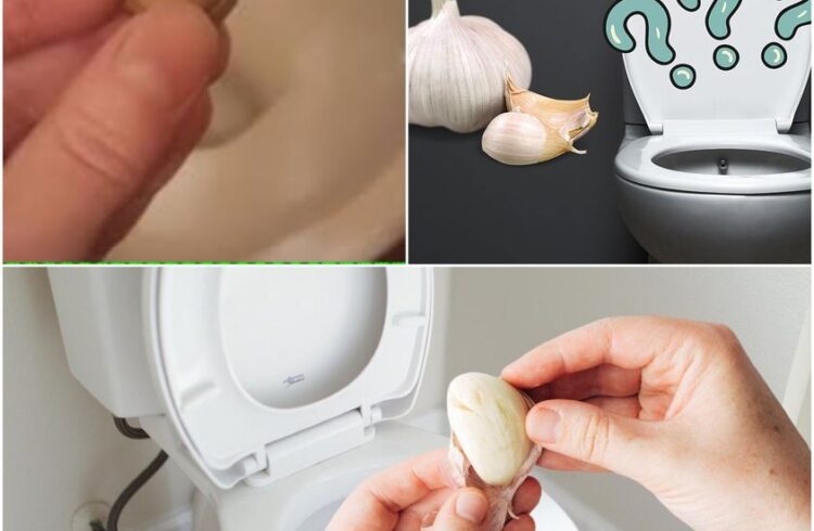 A Garlic Clove in Your Toilet Discover This Nighttime Trick!